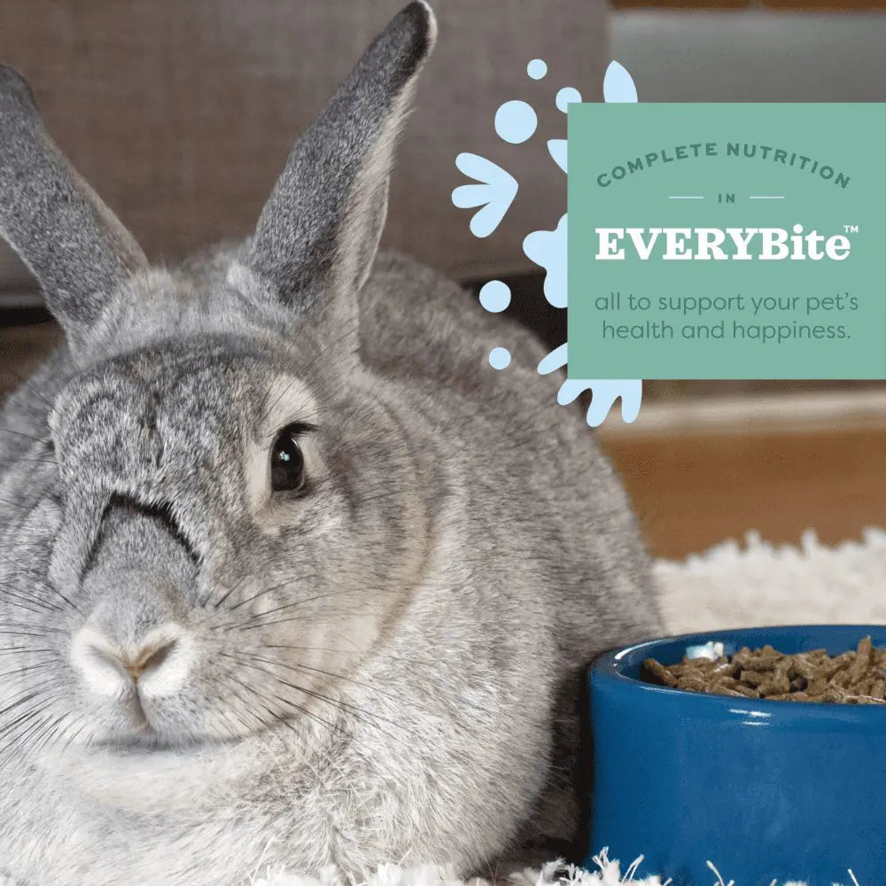 Oxbow Essentials Senior Rabbit Food 4 lb