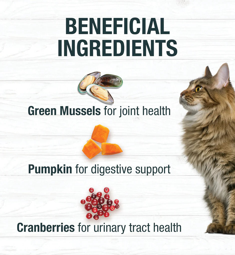 Limited Ingredient Diet Duck Pate Canned Cat Food
