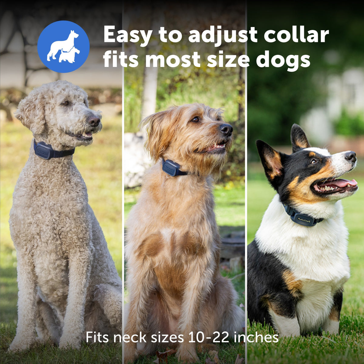 Petsafe Core Dog Trainer Collar with Remote