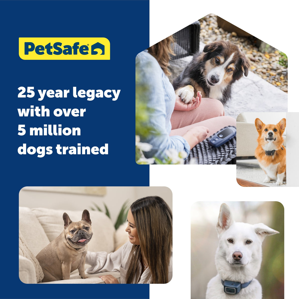 Petsafe Core Dog Trainer Collar with Remote