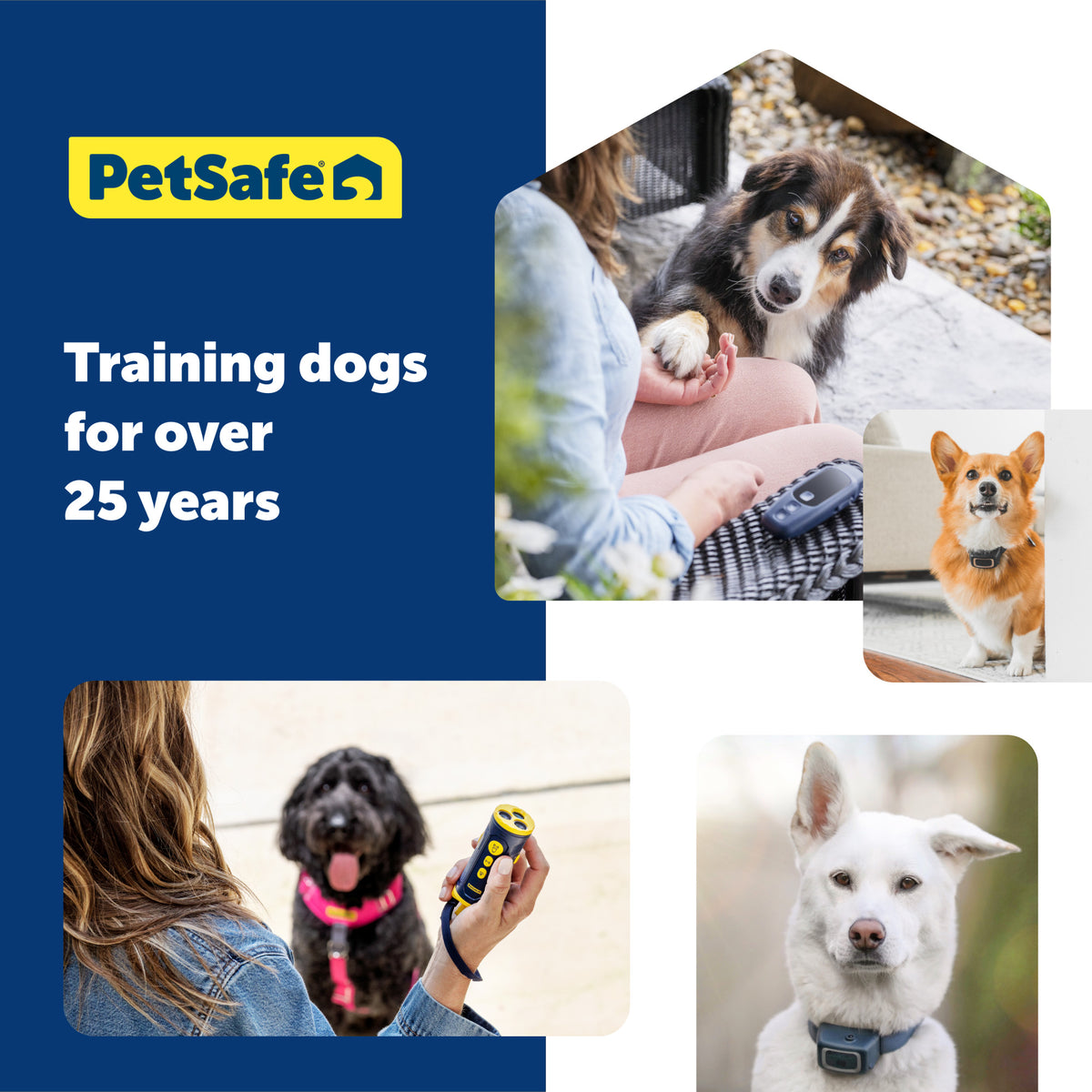 Petsafe Collarless Trainer Ultrasonic Training Tool