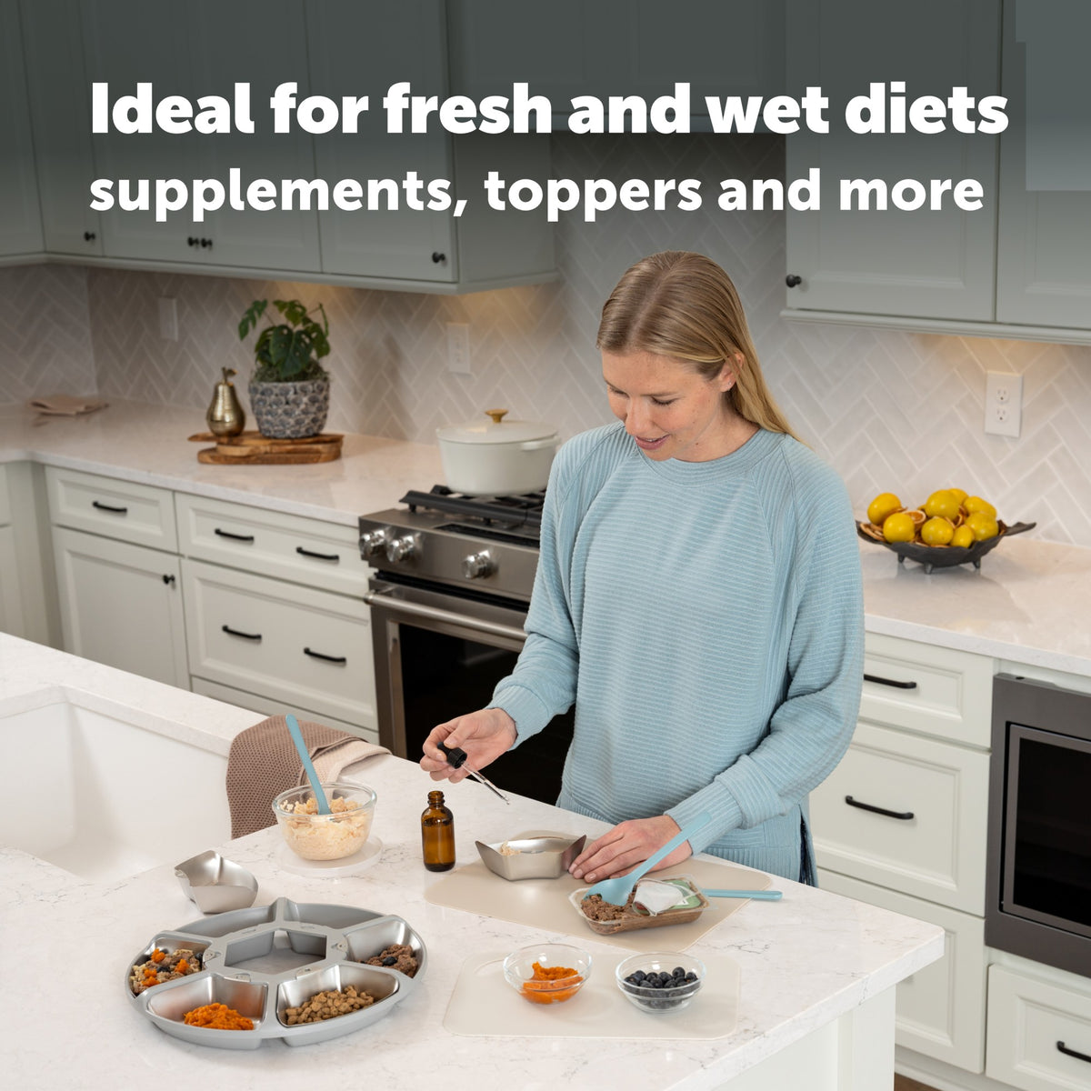Petsafe Black FreshFeed Refrigerated Pet Feeder