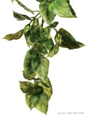 Plastic Amapallo Terrarium Plant