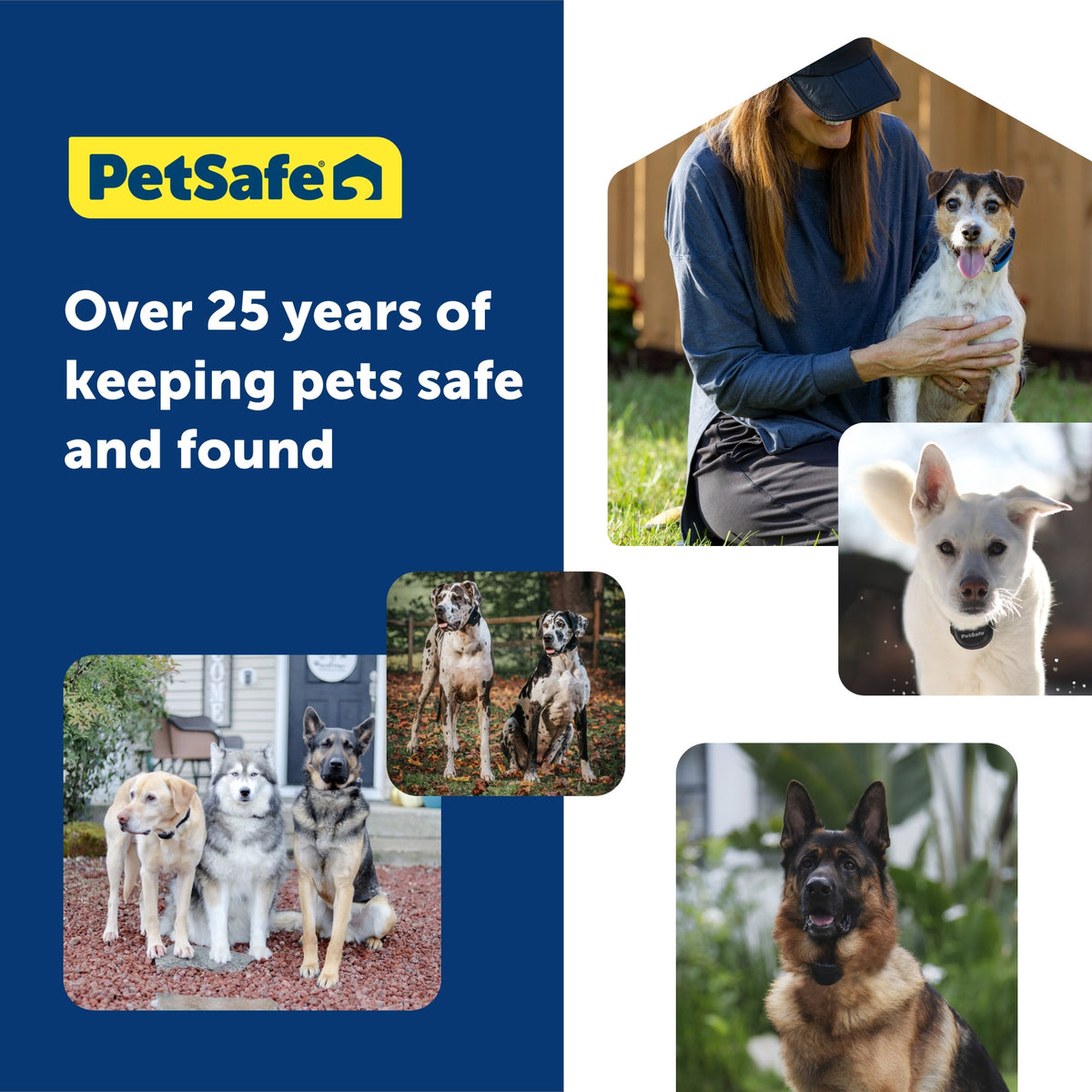 Petsafe GPS Dog Tracker Collar