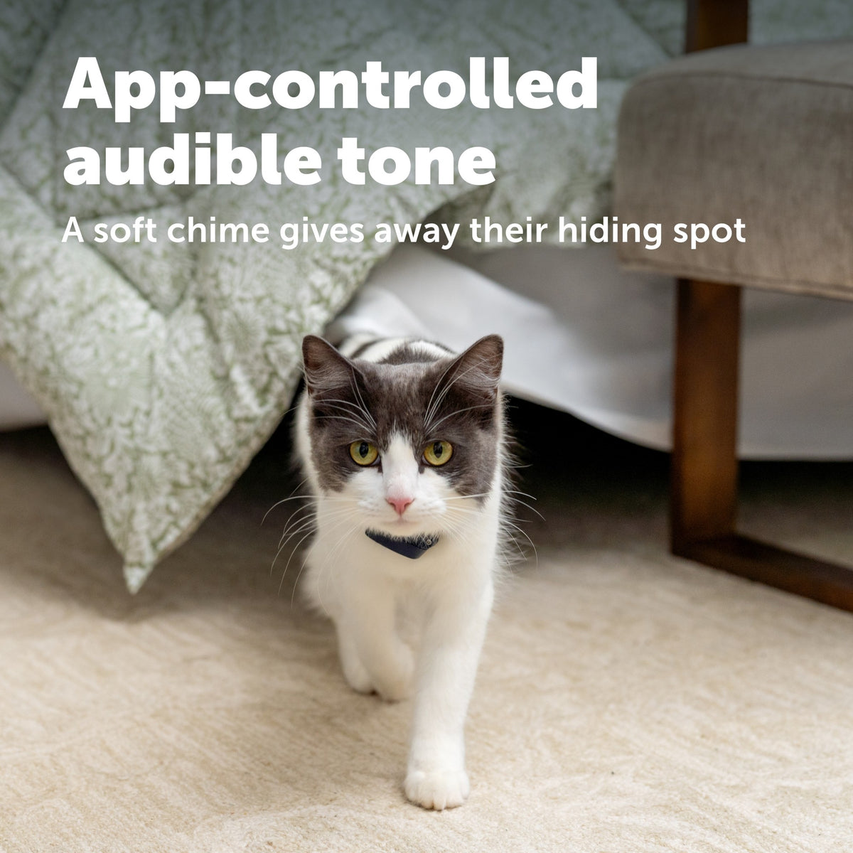 Petsafe GPS Cat Tracker Collar