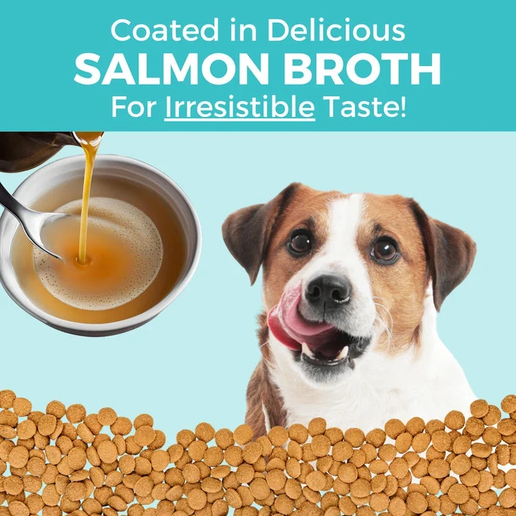 Koha Limited Ingredient Bland Diet Salmon & Brown Rice Recipe with Pumpkin Dry Dog Food