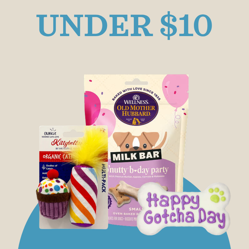 Birthday gifts under $10