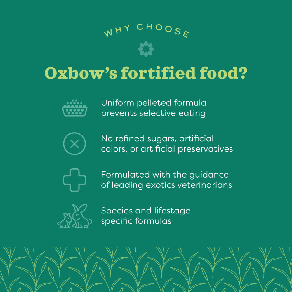 Oxbow Essentials Senior Rabbit Food 4 lb