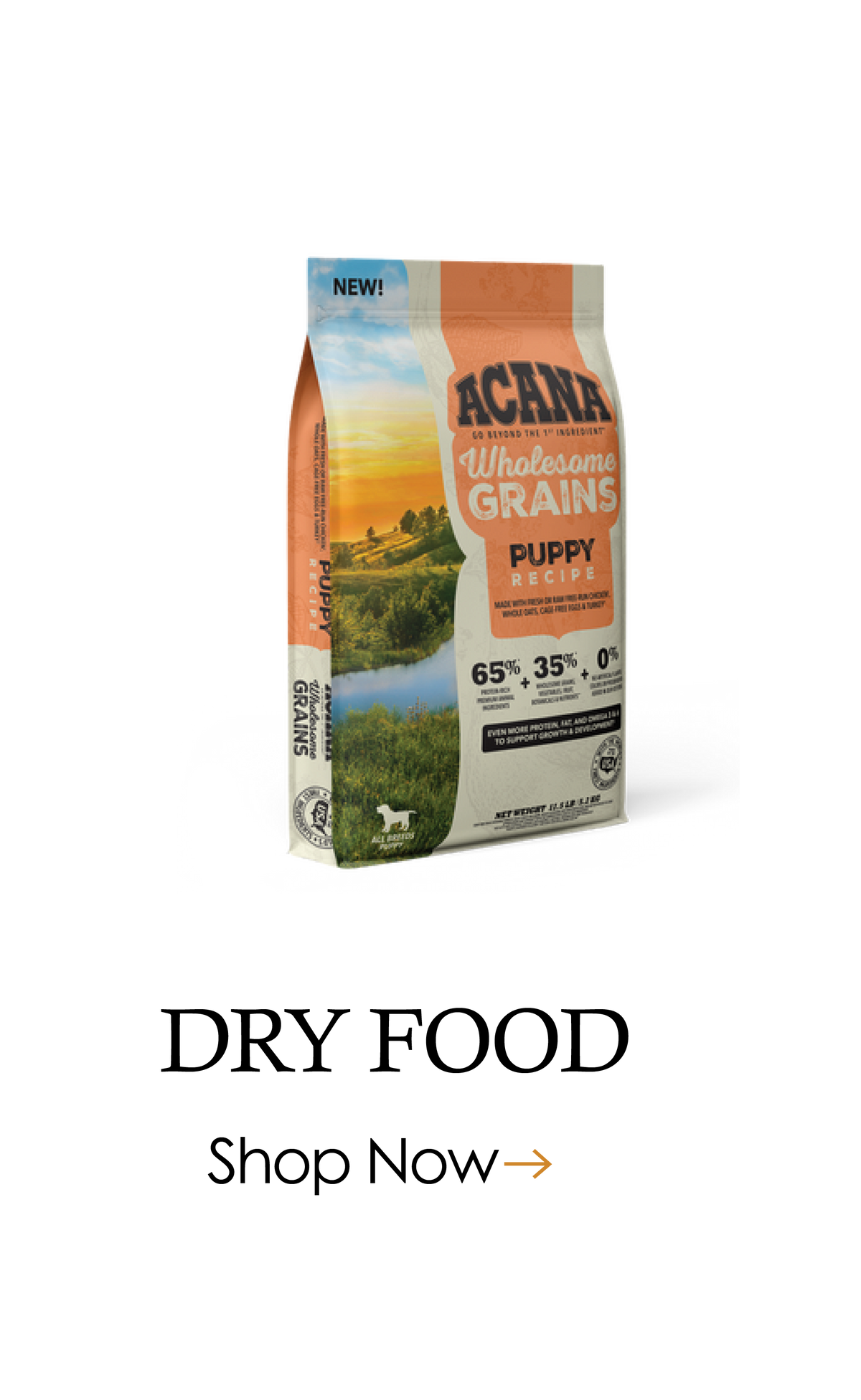 Dog Food Dry Food