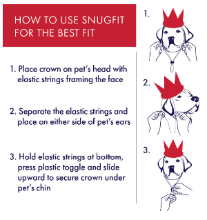 Birthday Party Glitter Pet Crown with Snugfit