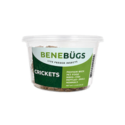 Apet Benebug Grab N' Go 1/2 in Live Crickets 24 ct