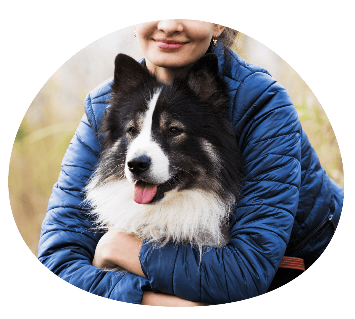 Chow Hound Pet Supplies