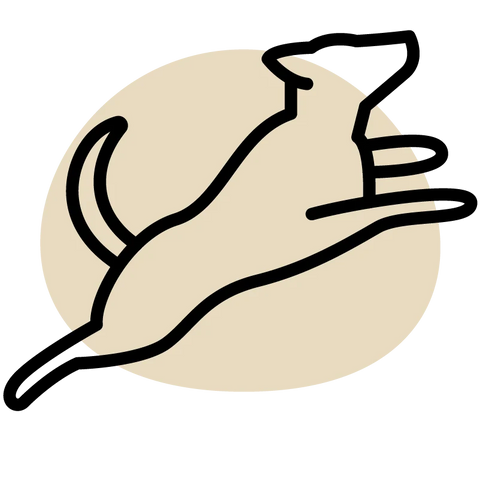 Outline of a hand reaching upwards with a beige circle and text 'Increase energy' below on a white background.