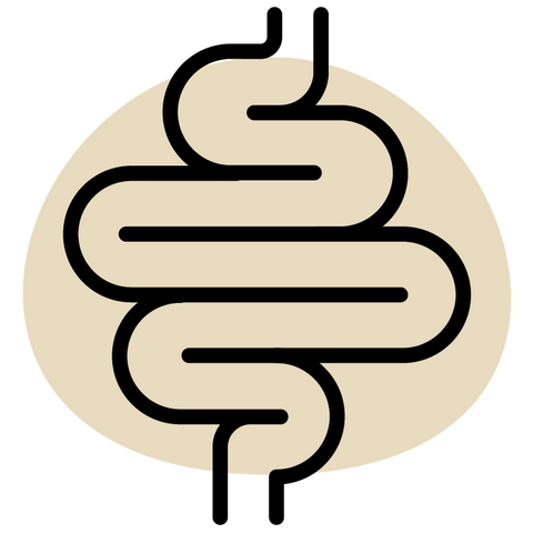 Logo of a stylized intestine with 'Improve digestion' text on a beige background