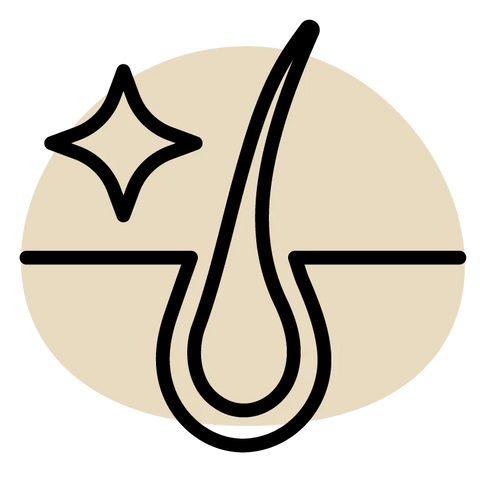 Icon of a hair shaft with a star, representing healthy skin and coat on a beige background.