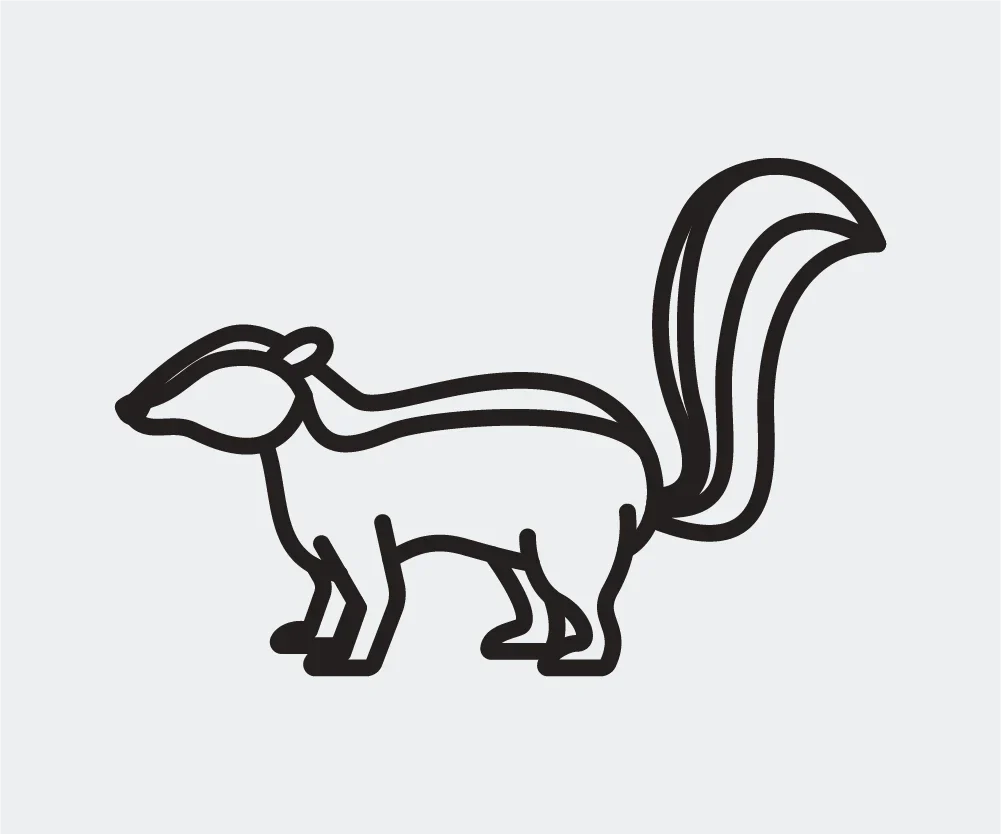 <strong>De-Skunk Treatment</strong>