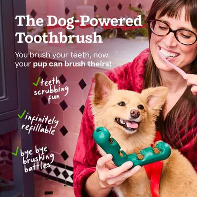 Woof Holiday Red Bite N Brush Refillable Dental Dog Chew