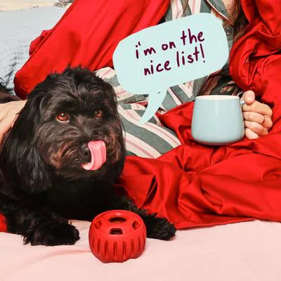 Woof Holiday Jolly Pop Dog Treat