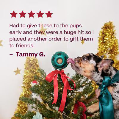 Woof Holiday Jolly Pop Dog Treat