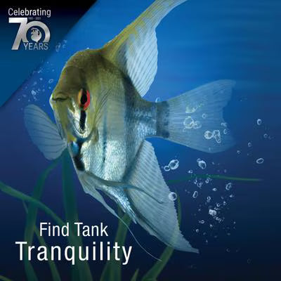 Tetra Bettamin Flake Medley Fish Food .42 oz
