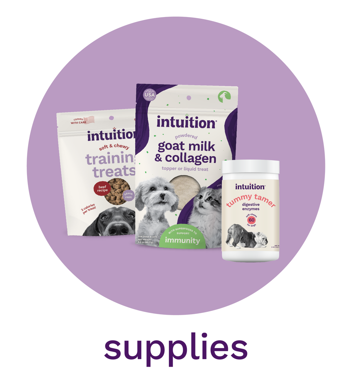 Dog Supplies