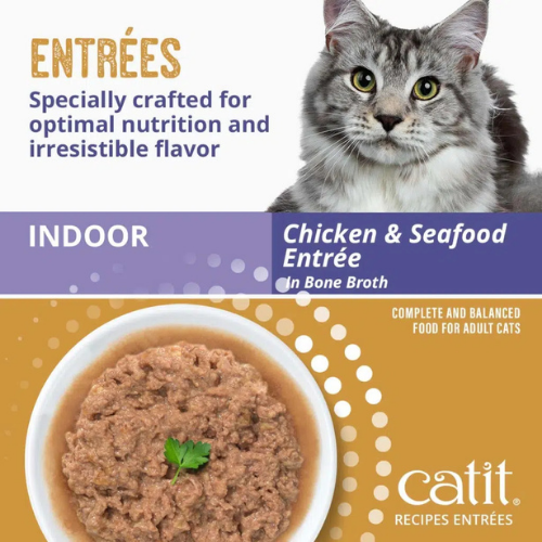 Dave's Naturally Healthy Chicken & Turkey Recipe in Saucey Pate Grain-Free Wet Cat Food