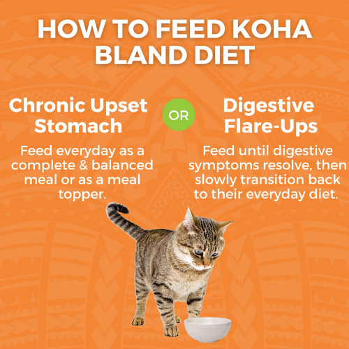 Koha Limited Ingredient Bland Diet Chicken and White Rice with Pumpin Recipe Wet Food for Adult Cats