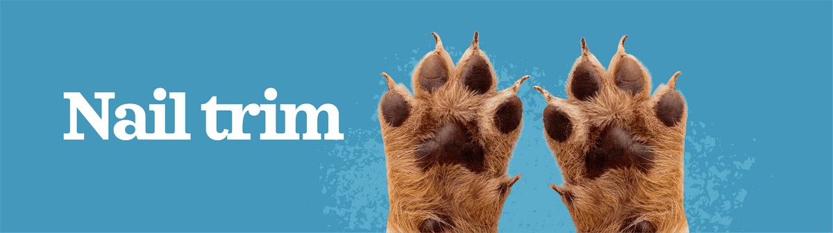 Chow Hound Pet Supplies