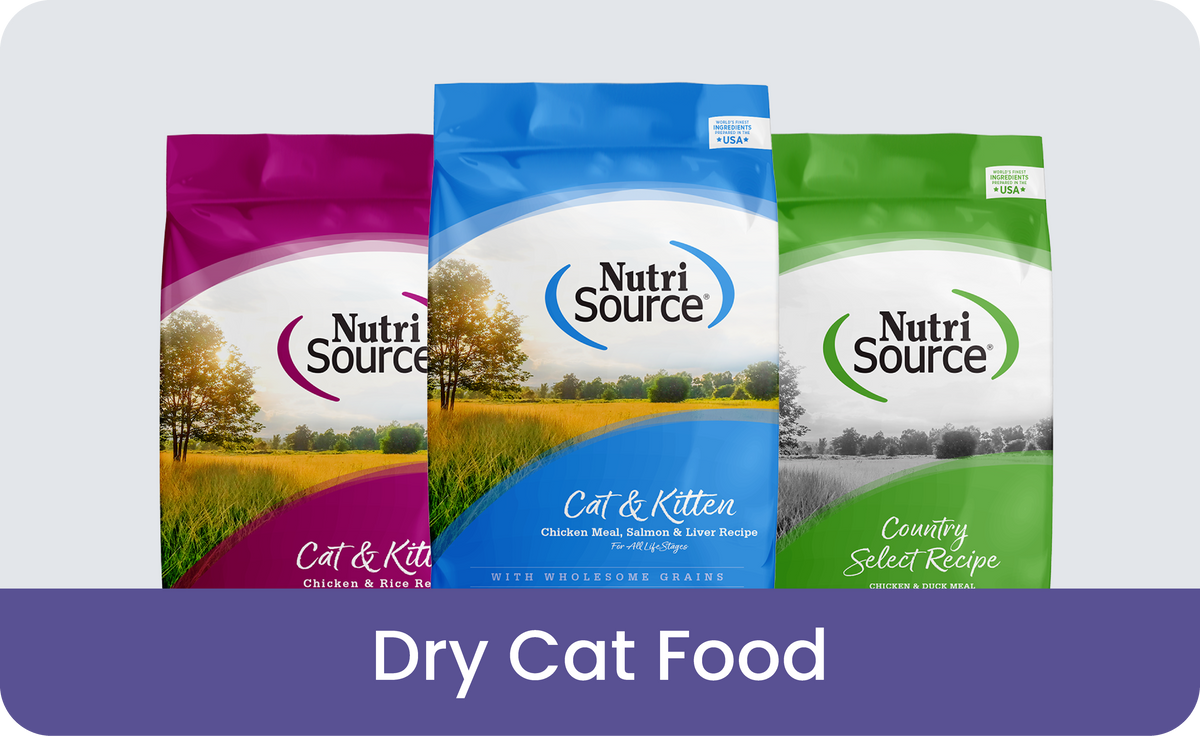 Cat Food Dry Food