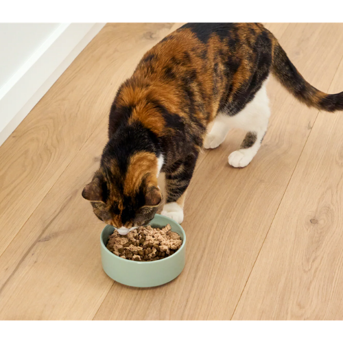 Open Farm Salmon Topper for Cats