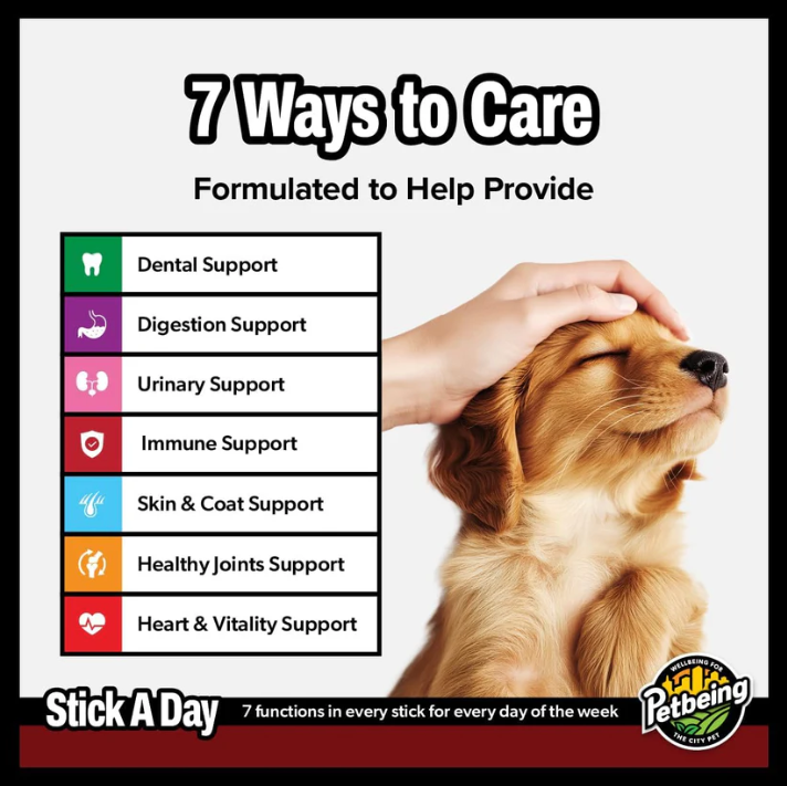 Petbeing Stick A Day Beef Recipe Dog Supplement 7 ct