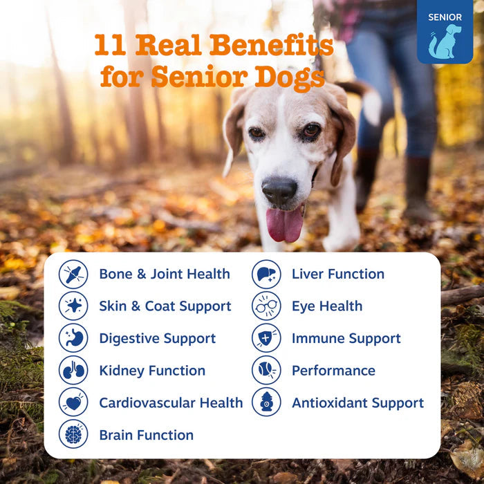 Zesty Paws Senior Advanced 11-in1 Multivitamin Bites Soft Chews for Dogs 90 ct
