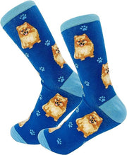 E & S Imports Pet Lover Socks Pomeranian Dog, Unisex, One Size Fits Most