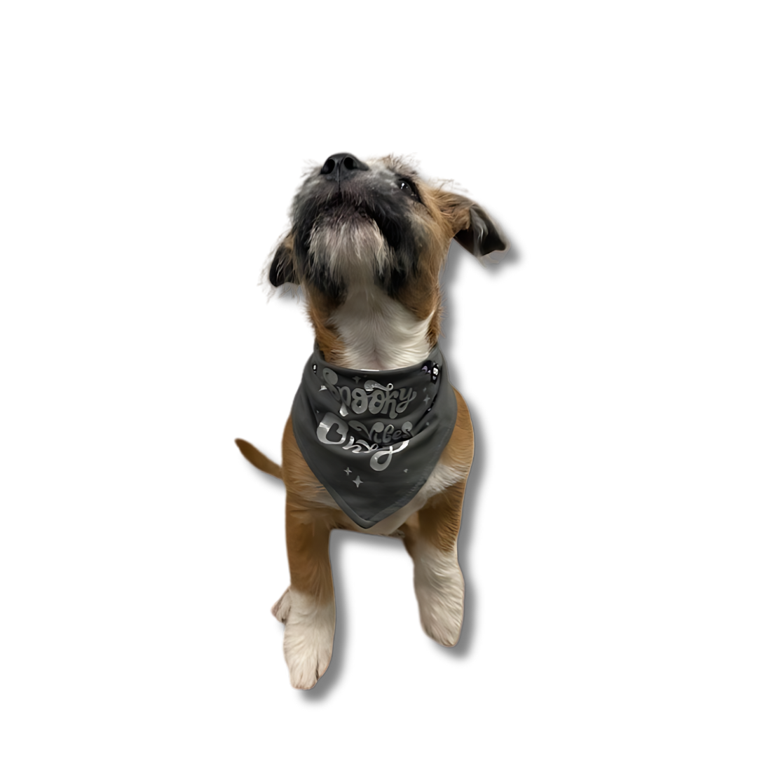 Silverpaw Halloween Spooky Vibes Only Pet Bandana