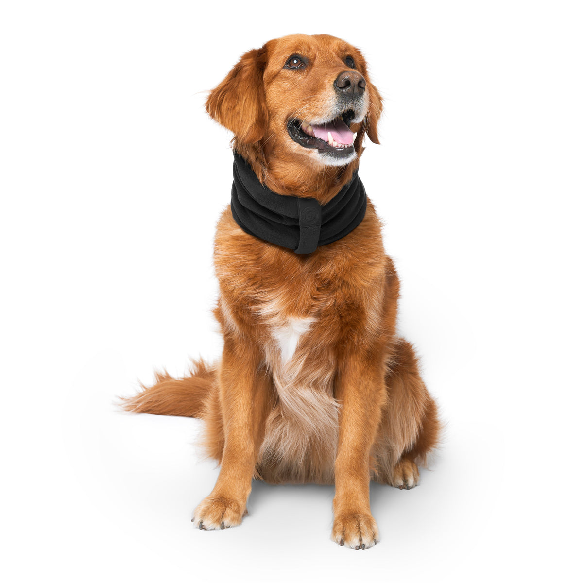 Canada Pooch Black Thermal Snood Scarf for Dogs