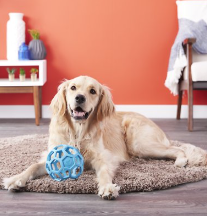 Jw Pet Hol-ee Roller Dog Toy