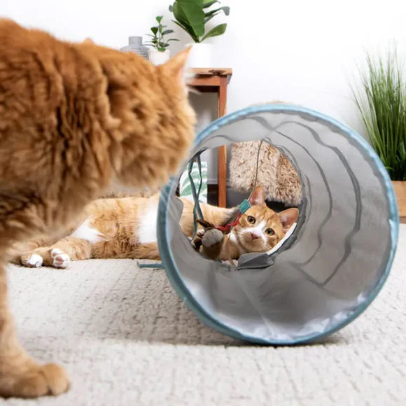 Smartykat Instincts Twinkle Tube Light & Crinkle Tunnel Cat Toy