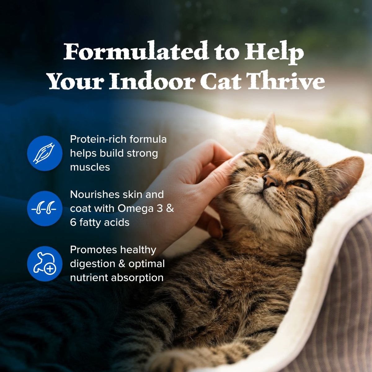 Blue Buffalo Wilderness Indoor Chicken Recipe Dry Cat Food