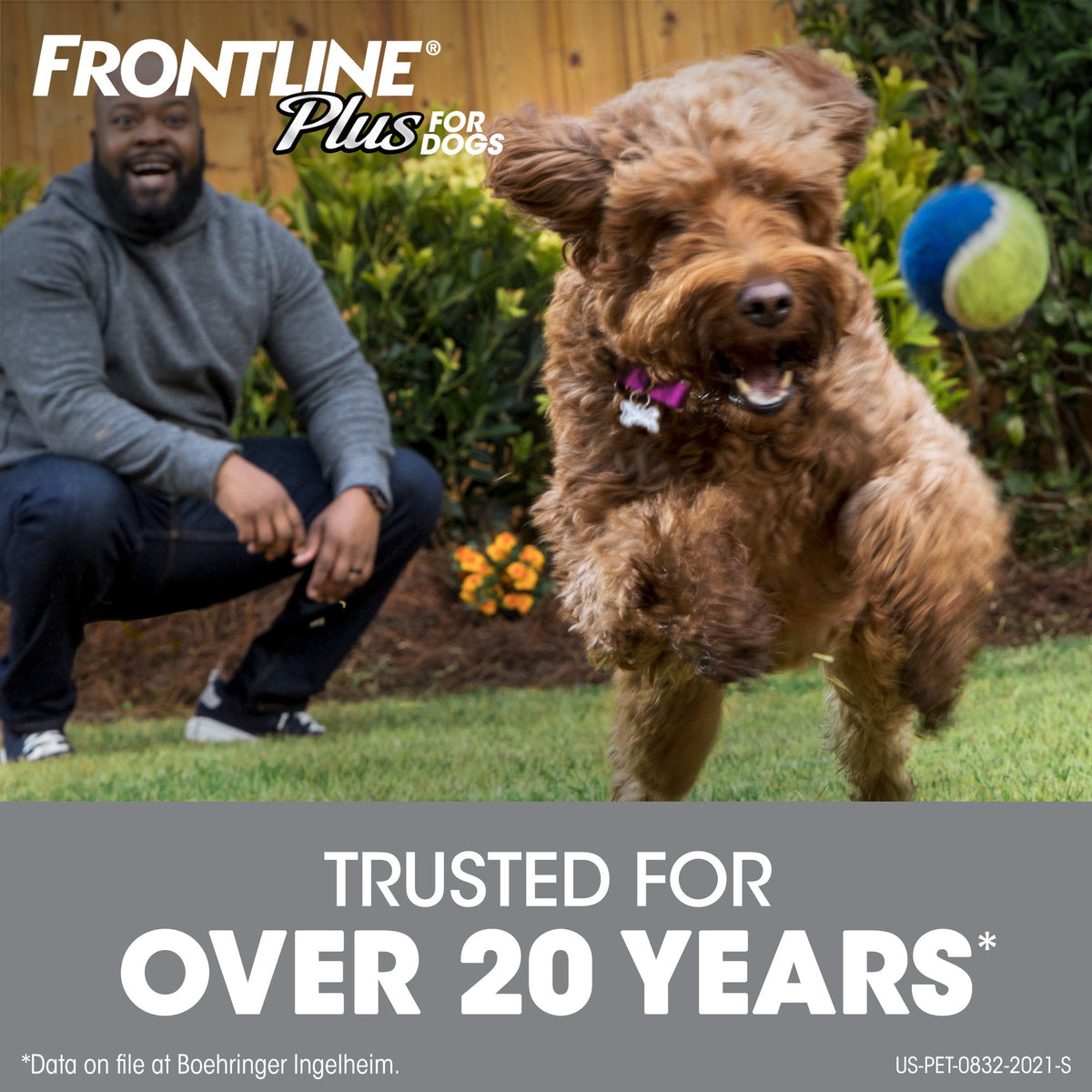 Merial Frontline Plus Flea & Tick Treatment 3 pack