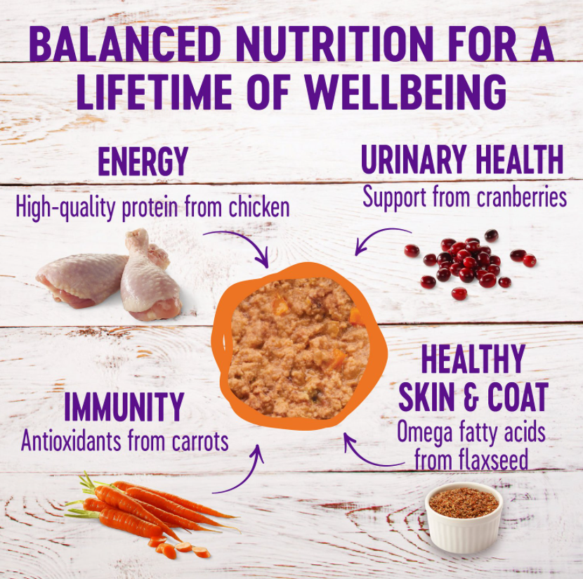 Wellness Complete Health Natural Chicken Pate Grain-Free Canned Cat Food