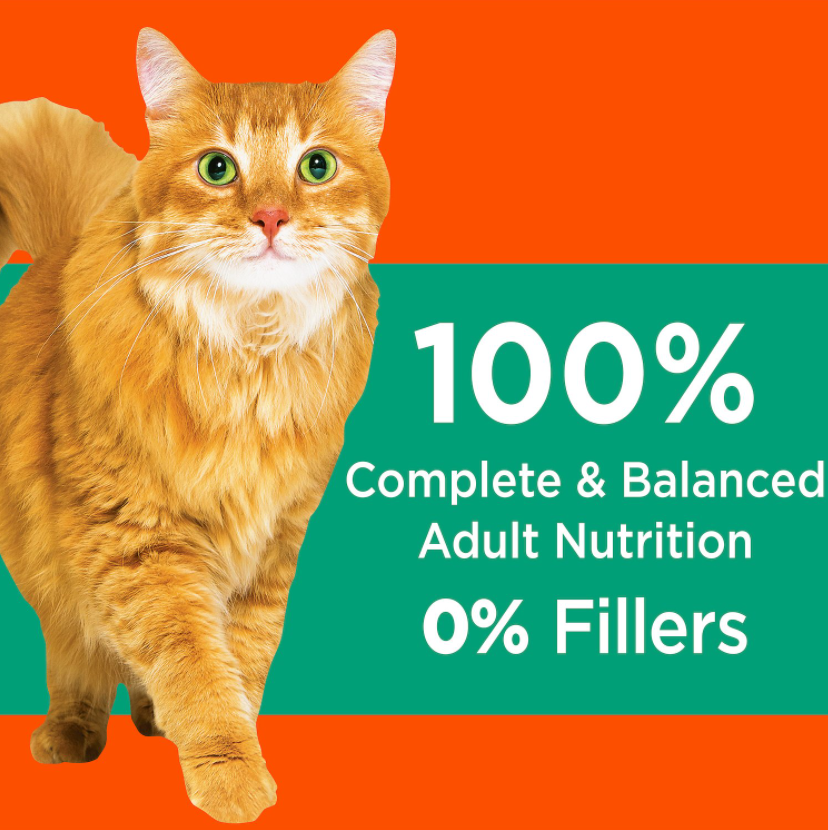 Iams Proactive Health Hairball Care Dry Cat Food 7 lb