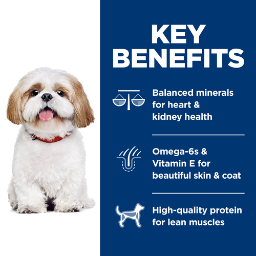 Hill's Science Diet Senior 7+ Small Bites Chicken Meal, Barley, & Rice Recipe Dry Dog Food