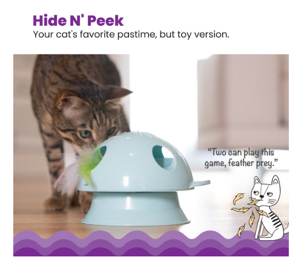 Catstages Electronic Dart N' Dash Cat Toy and Cat Ball Track Topper