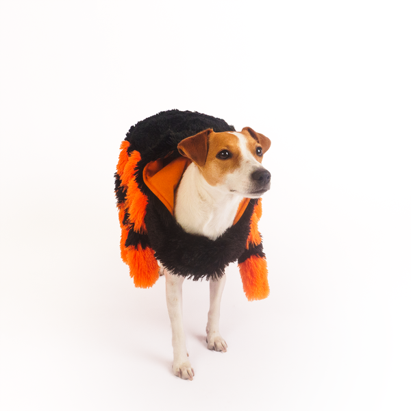 Silverpaw Halloween Spider Pet Costume