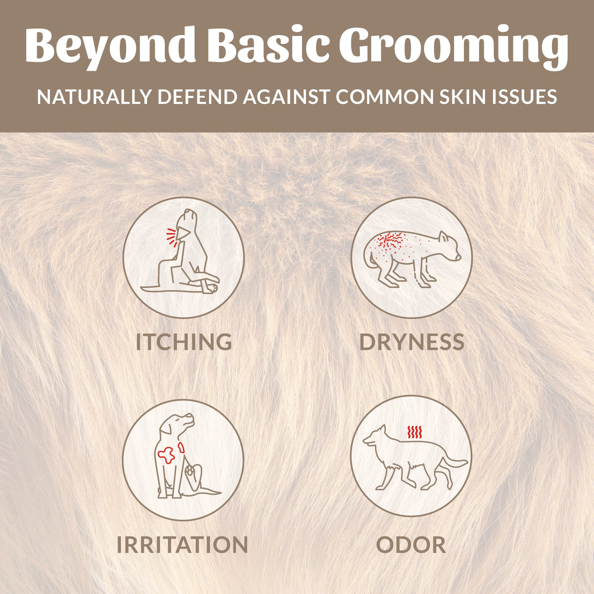 Skout's Honor Probiotic Deodorizing Spray Sandalwood & Vanilla Scent for Dogs 8 oz