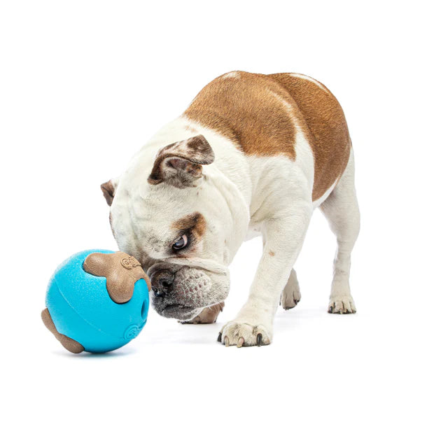 Guru Busy Ball Treat Dispensing Dog Toy