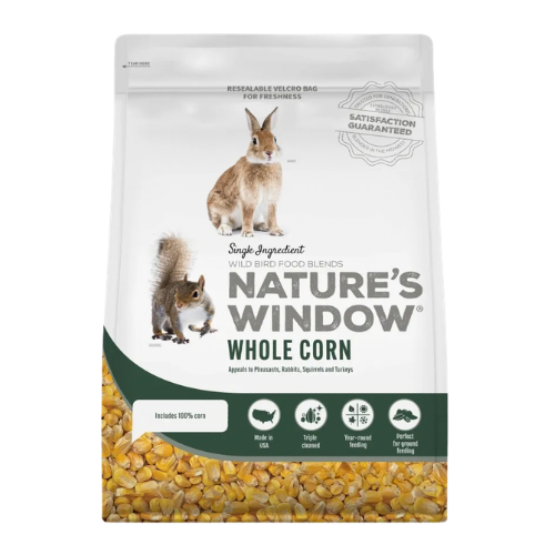 Nature's Window Whole Corn