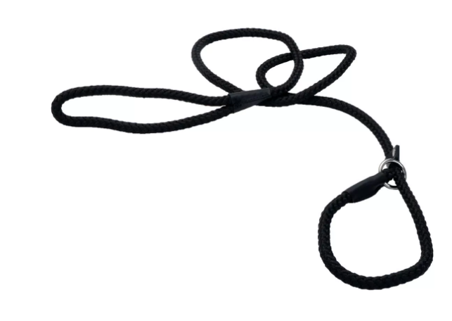 Coastal Pet Products Rope Slip Dog Leash 6 ft