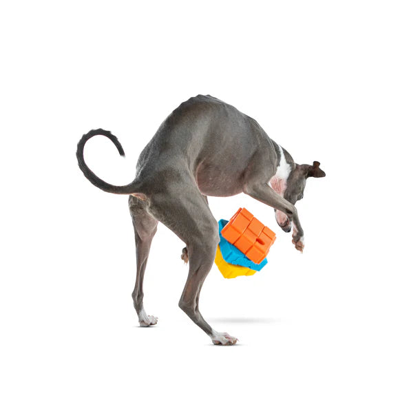 Guru Dog-X-Cube Treat Dispensing Puzzle Dog Toy