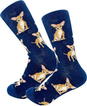 E & S Imports Pet Lover Socks Tan Chihuahua Dog, Unisex, One Size Fits Most